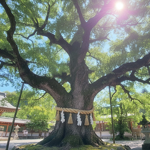 #ひもろぎ村移住者募集中